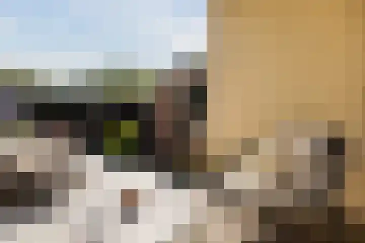 Nassauplein 18 Alkmaar thumbnail 58