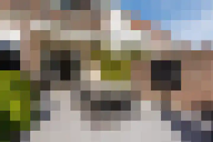 Nassauplein 18 Alkmaar thumbnail 62
