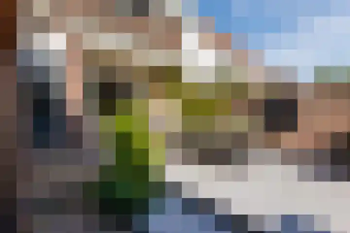 Nassauplein 18 Alkmaar thumbnail 63