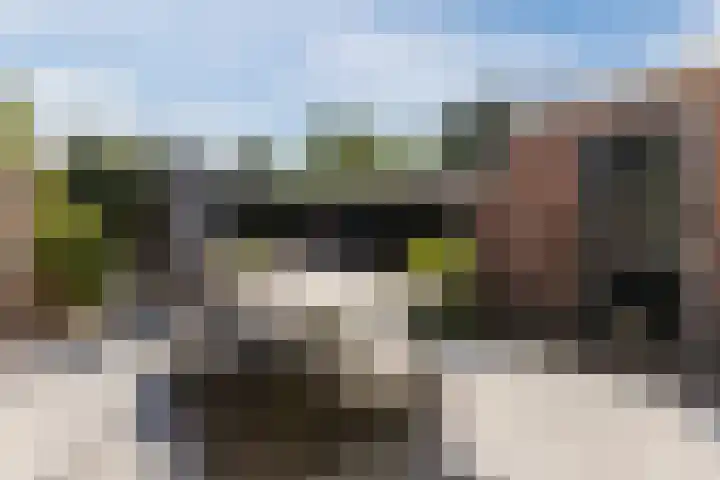 Nassauplein 18 Alkmaar thumbnail 64