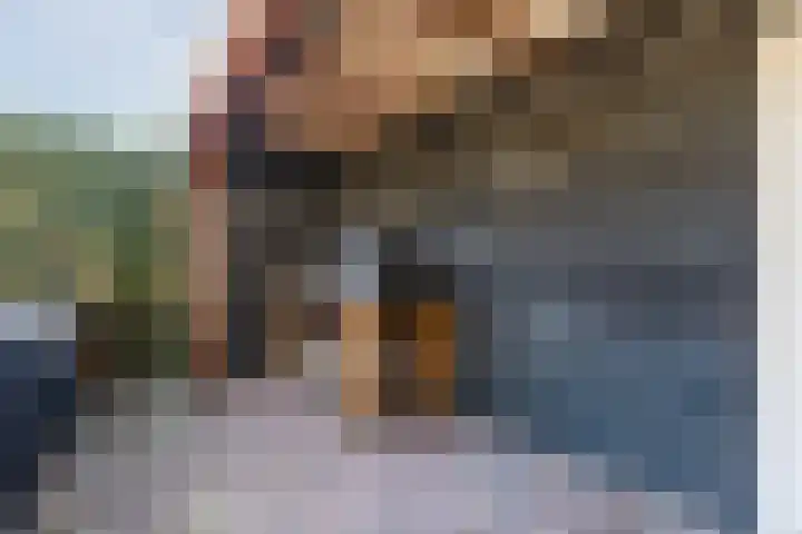 Nassauplein 18 Alkmaar thumbnail 68