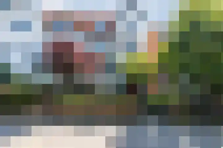Nassauplein 18 Alkmaar thumbnail 69