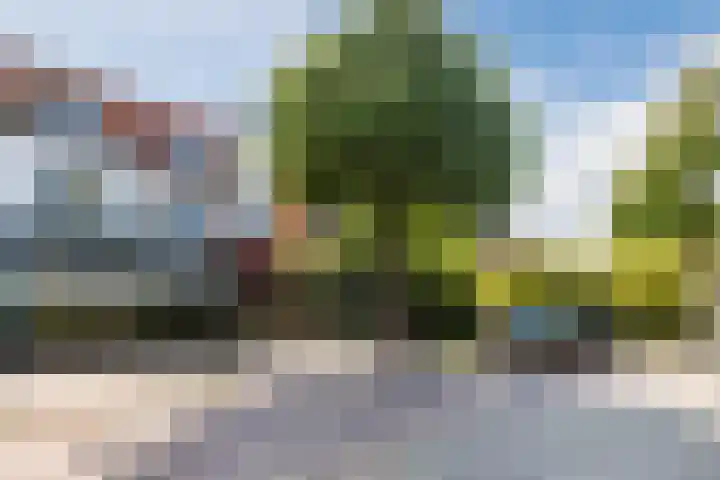 Nassauplein 18 Alkmaar thumbnail 71