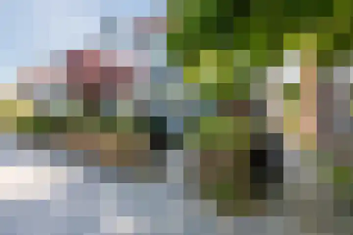 Nassauplein 18 Alkmaar thumbnail 72