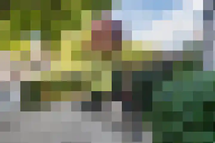 Nassauplein 18 Alkmaar thumbnail 74
