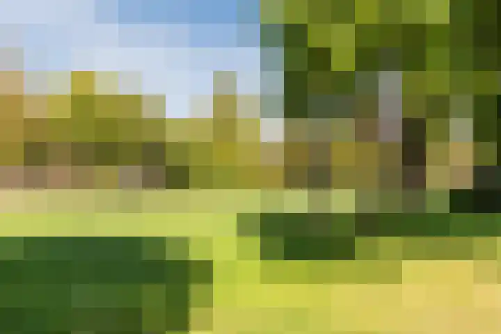 Nassauplein 18 Alkmaar thumbnail 77