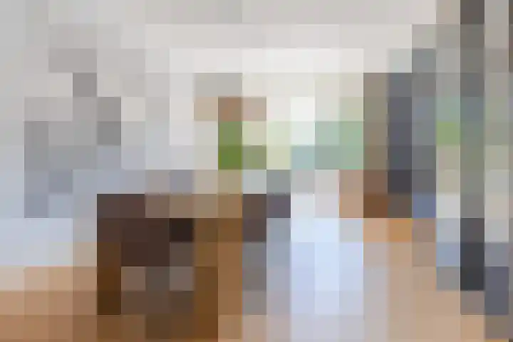 Nassauplein 18 Alkmaar thumbnail 9