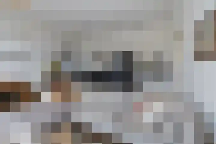 Nassauplein 20 Haarlem thumbnail 11