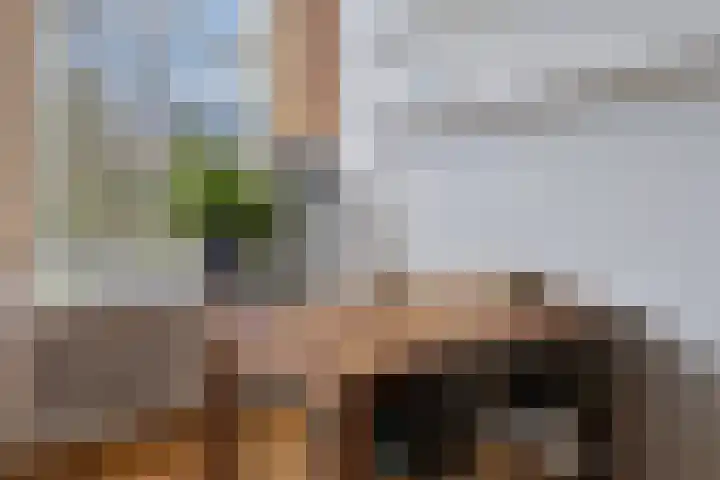 Nassauplein 20 Haarlem thumbnail 12