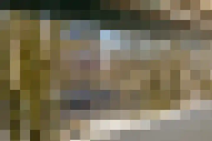 Nassauplein 20 Haarlem thumbnail 13