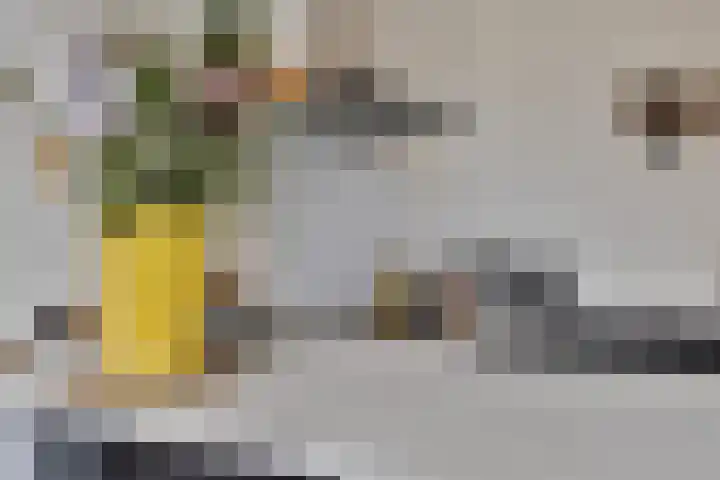 Nassauplein 20 Haarlem thumbnail 15