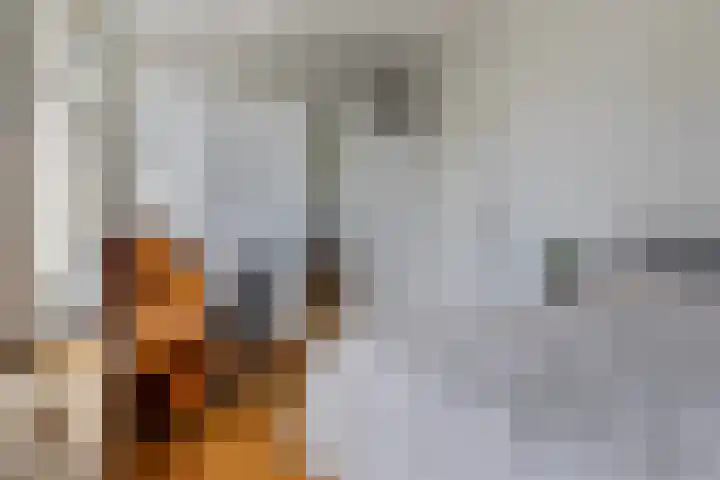 Nassauplein 20 Haarlem thumbnail 17