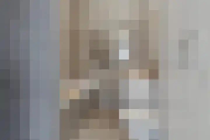 Nassauplein 20 Haarlem thumbnail 18