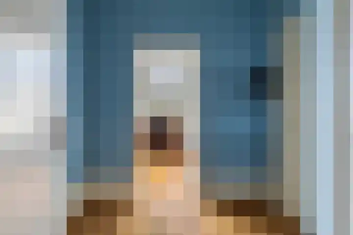 Nassauplein 20 Haarlem thumbnail 5