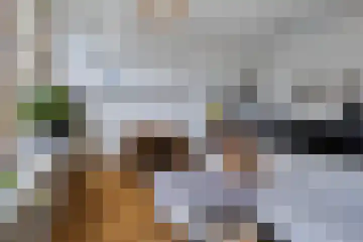 Nassauplein 20 Haarlem thumbnail 7