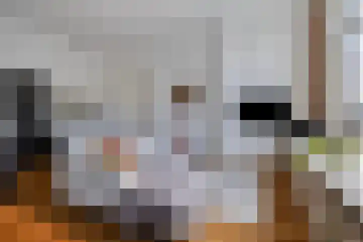 Nassauplein 20 Haarlem thumbnail 8