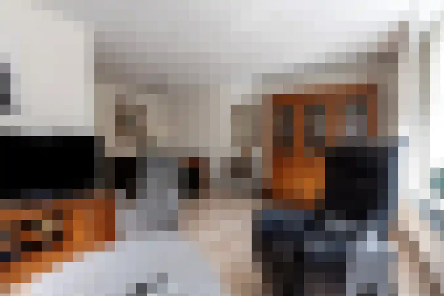 Nassauplein 21 Zevenbergen thumbnail 14
