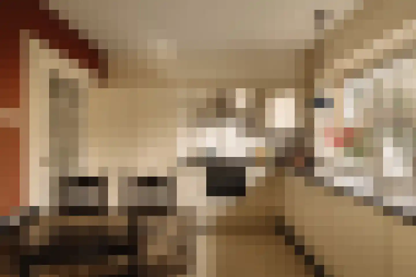 Nassauplein 23 Alkmaar thumbnail 21