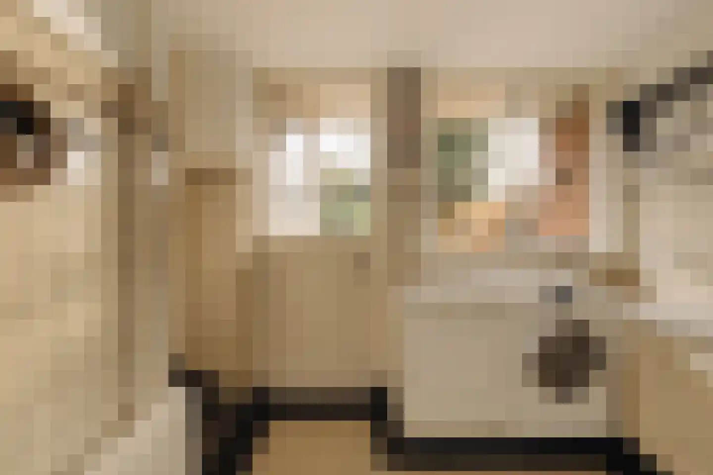 Nassauplein 23 Alkmaar thumbnail 26