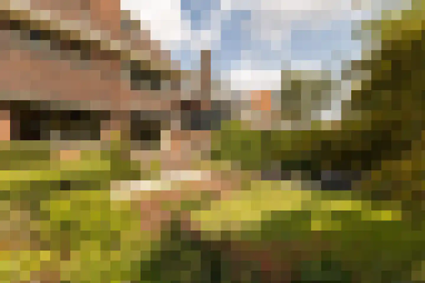 Nassauplein 23 Alkmaar thumbnail 27