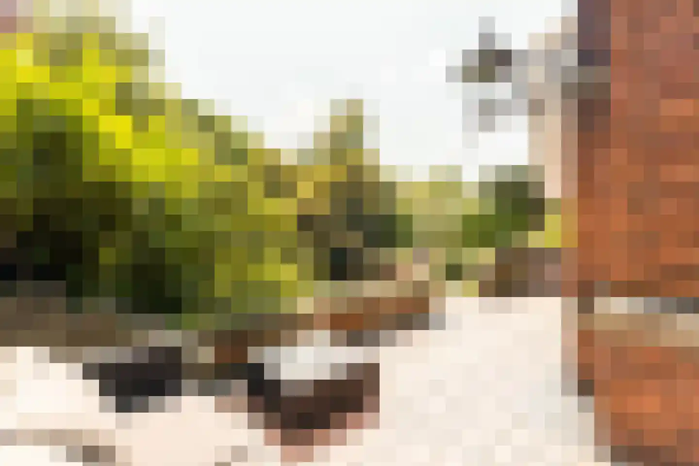 Nassauplein 23 Alkmaar thumbnail 29