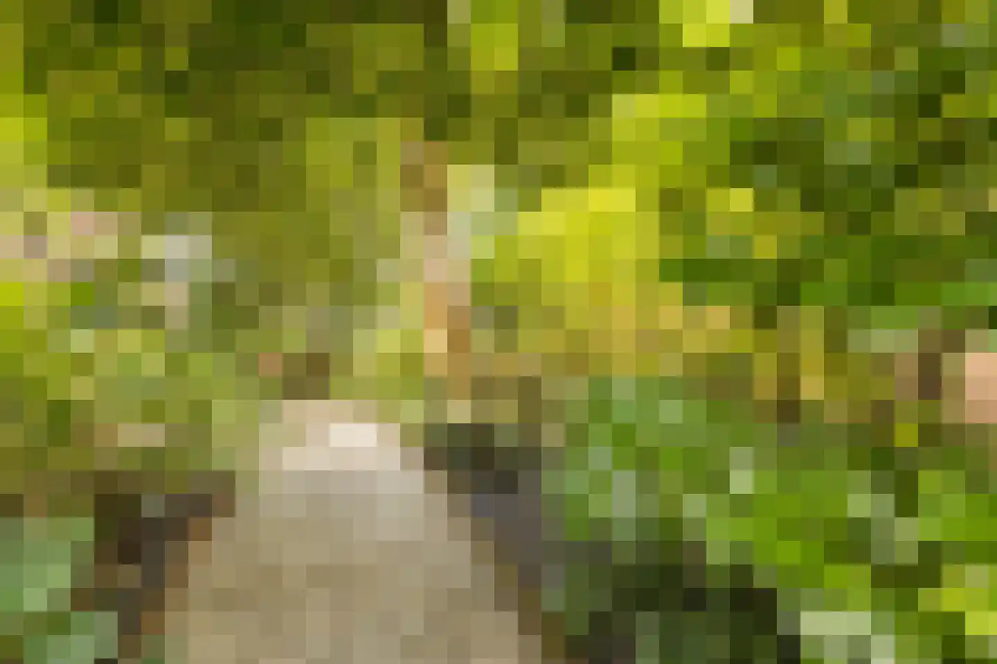 Nassauplein 23 Alkmaar thumbnail 32