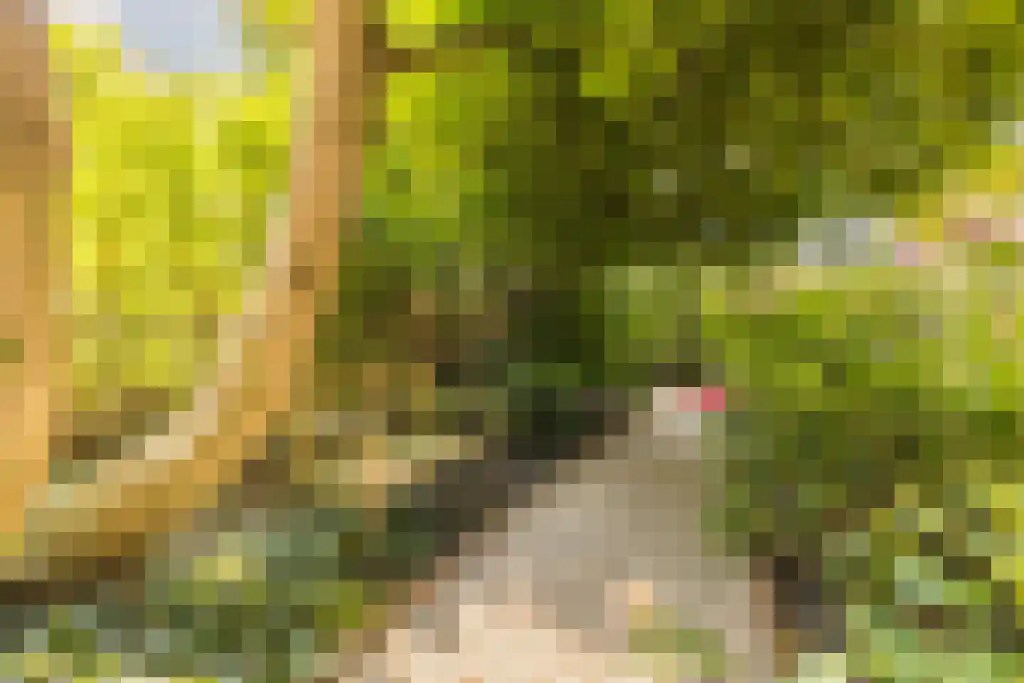 Nassauplein 23 Alkmaar thumbnail 33