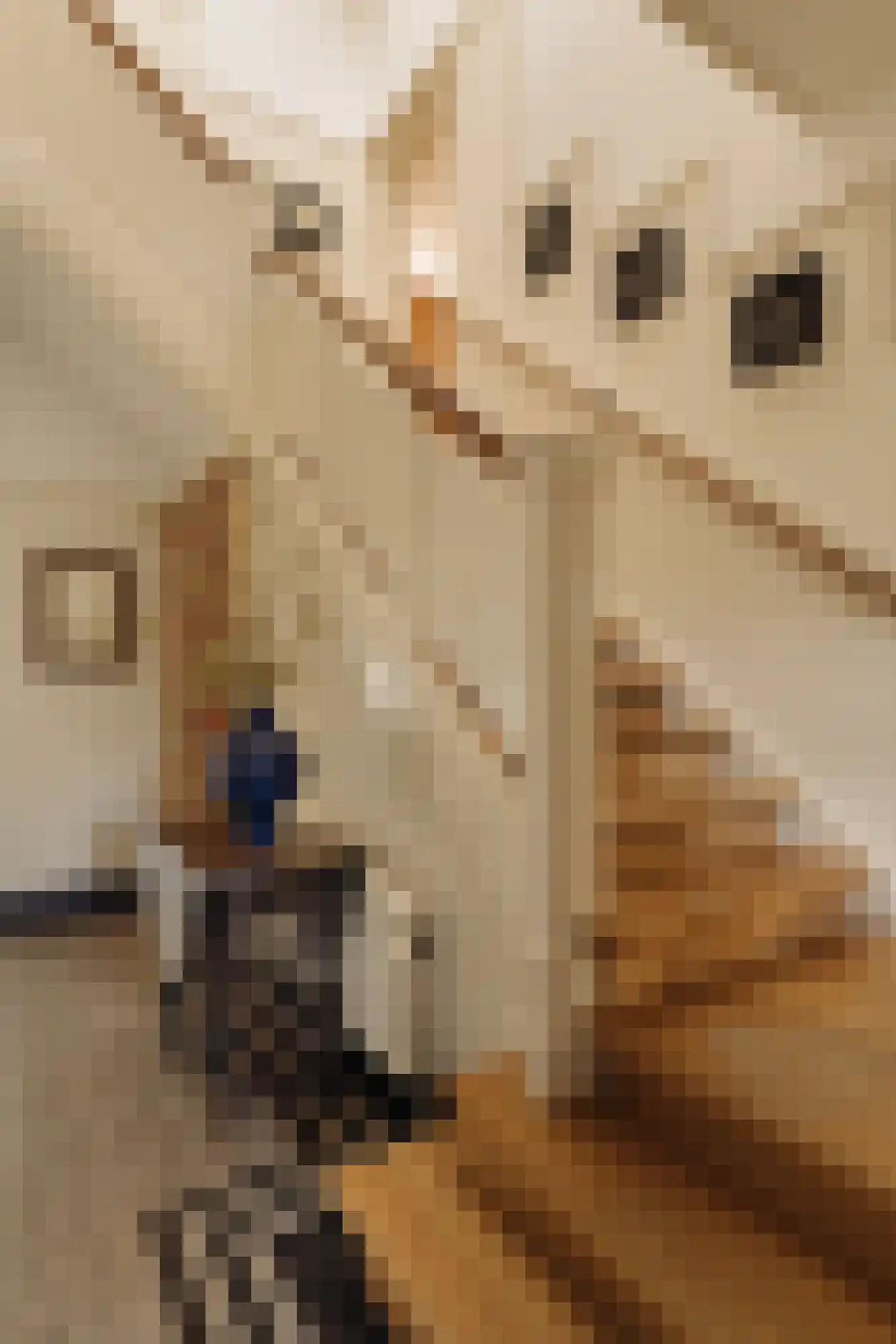 Nassauplein 23 Alkmaar thumbnail 4