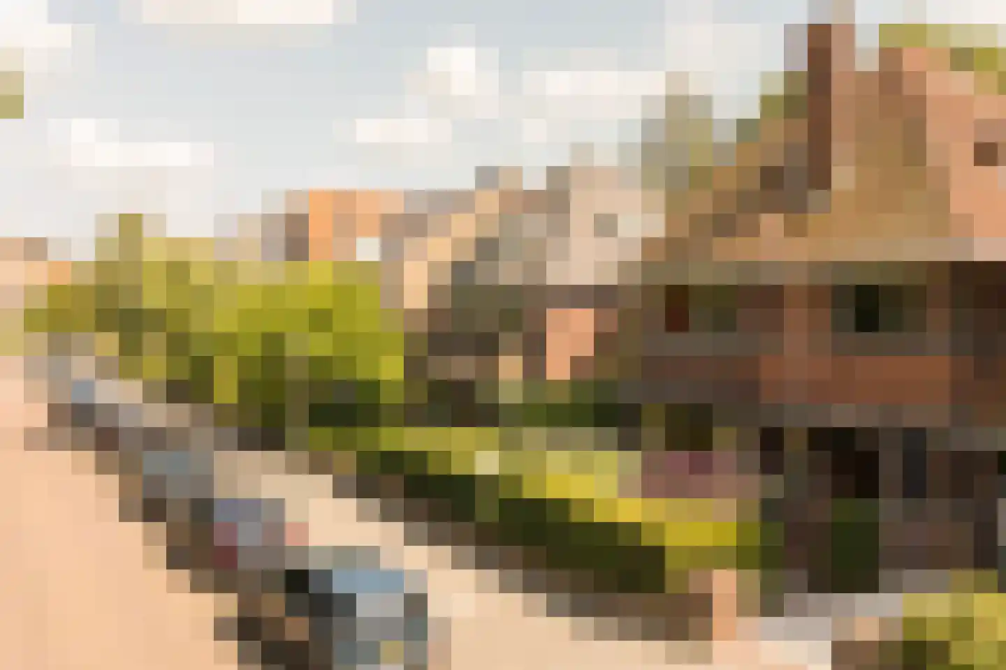 Nassauplein 23 Alkmaar thumbnail 69