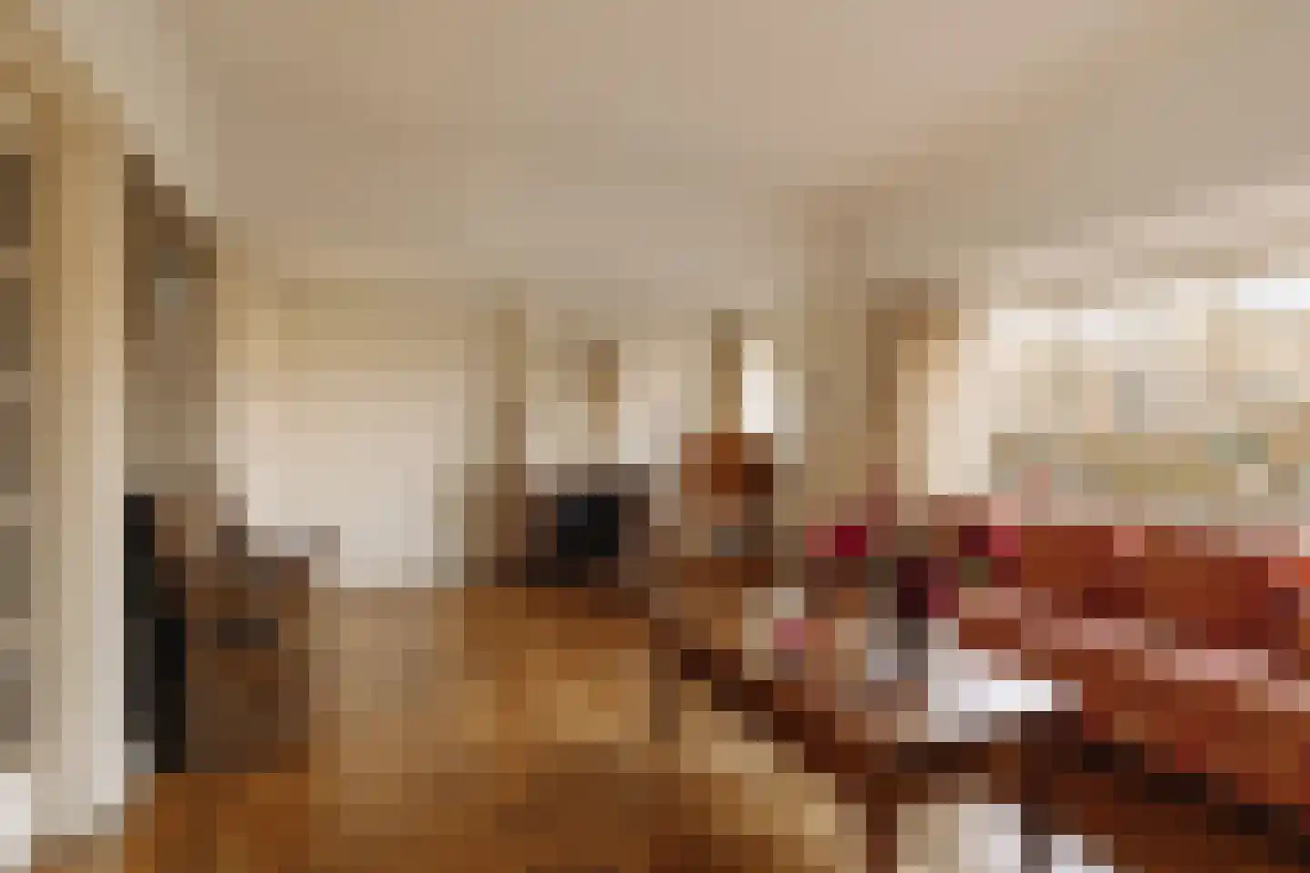 Nassauplein 23 Alkmaar thumbnail 7