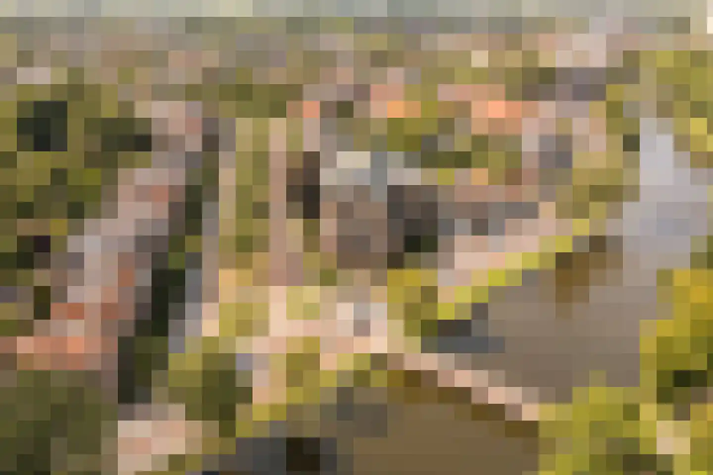 Nassauplein 23 Alkmaar thumbnail 81