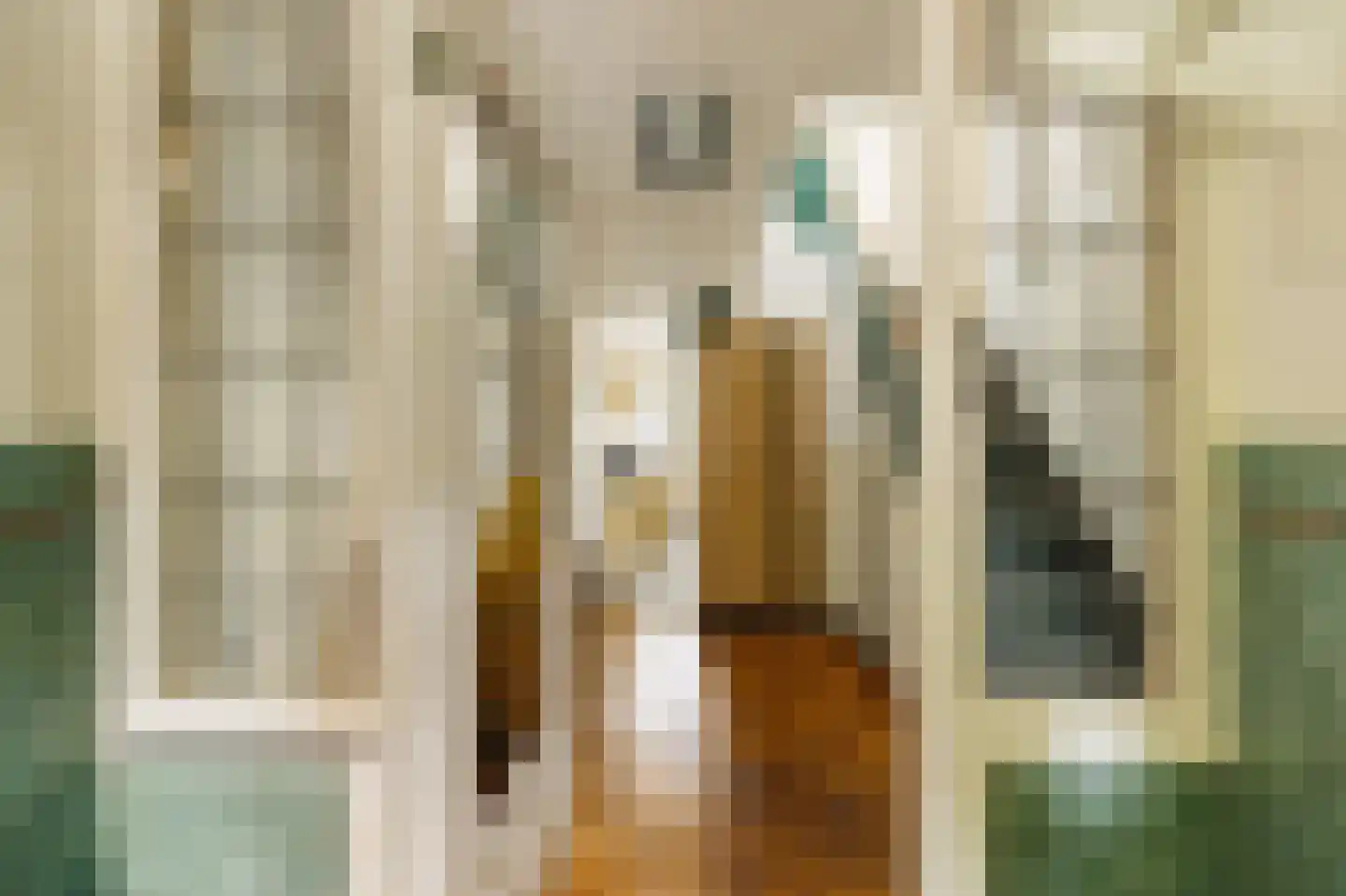Nassauplein 24 Alkmaar thumbnail 6