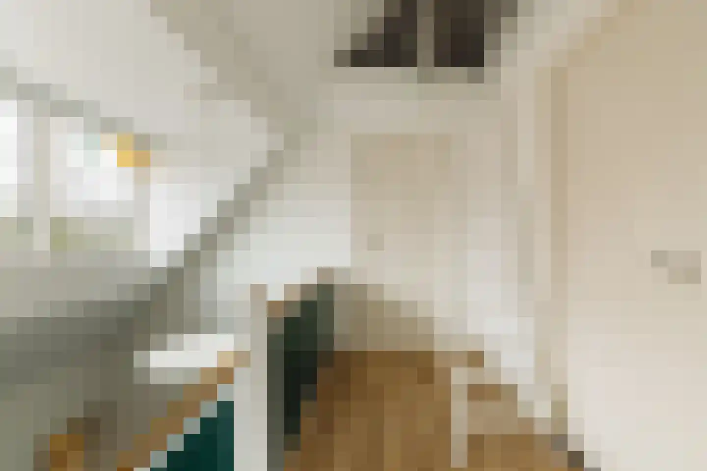 Nassauplein 24 Alkmaar thumbnail 64