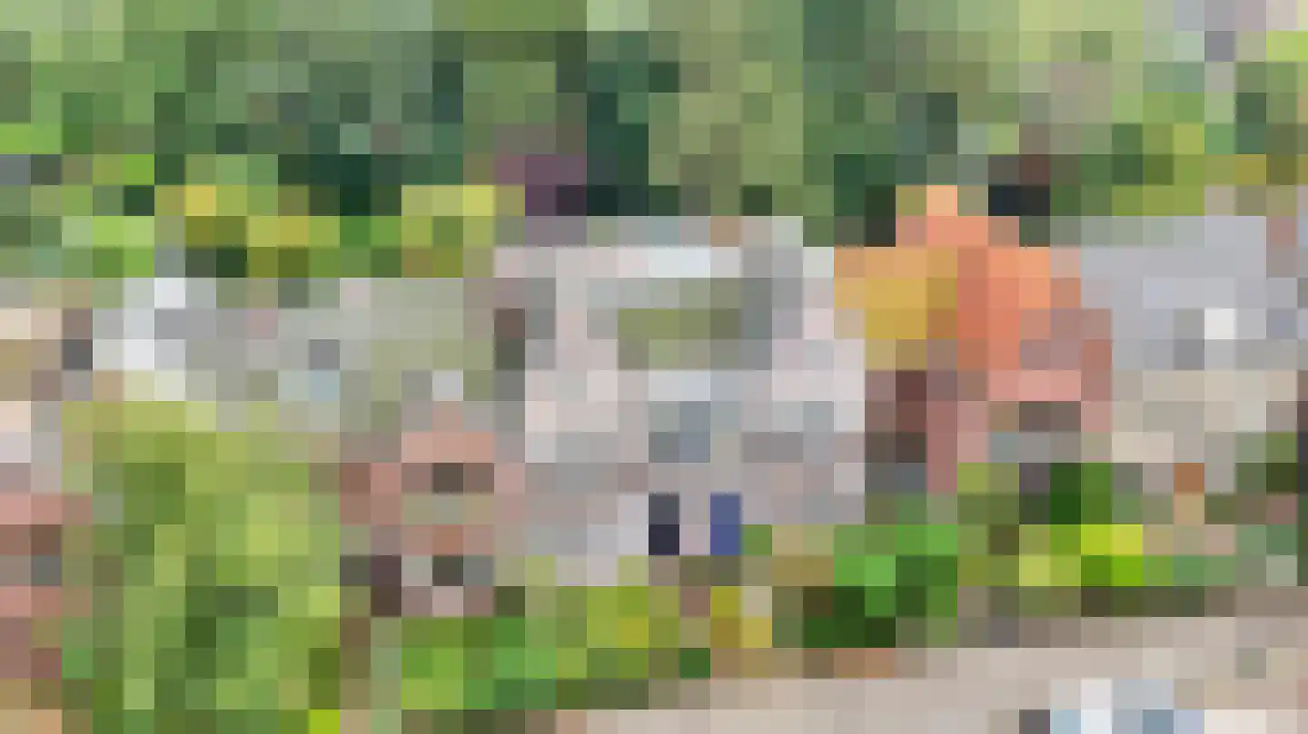 Nassauplein 28 Alkmaar thumbnail 35