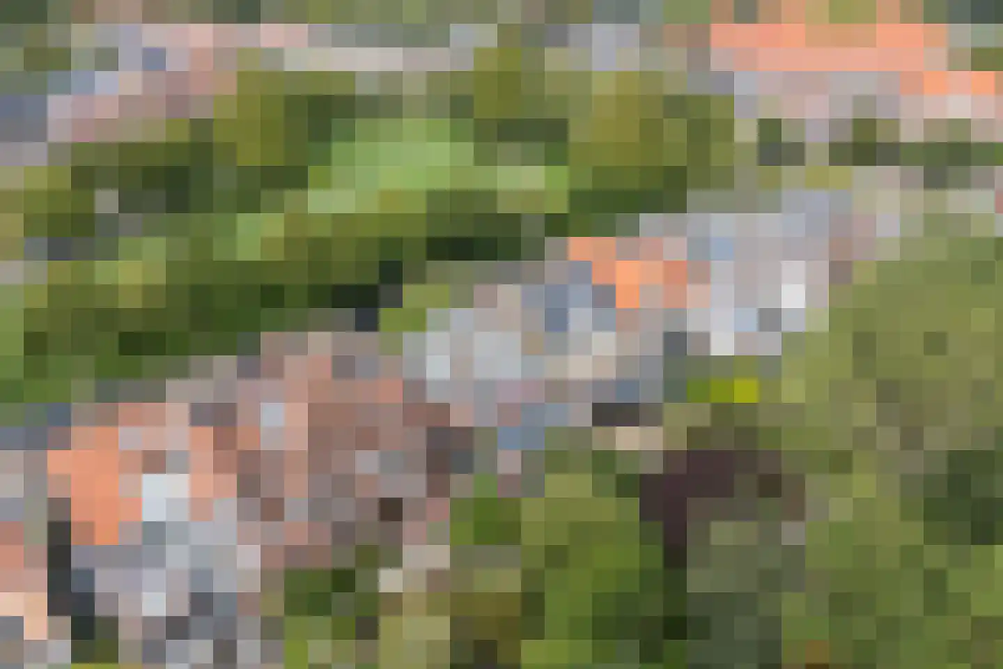 Nassauplein 28 Alkmaar thumbnail 37