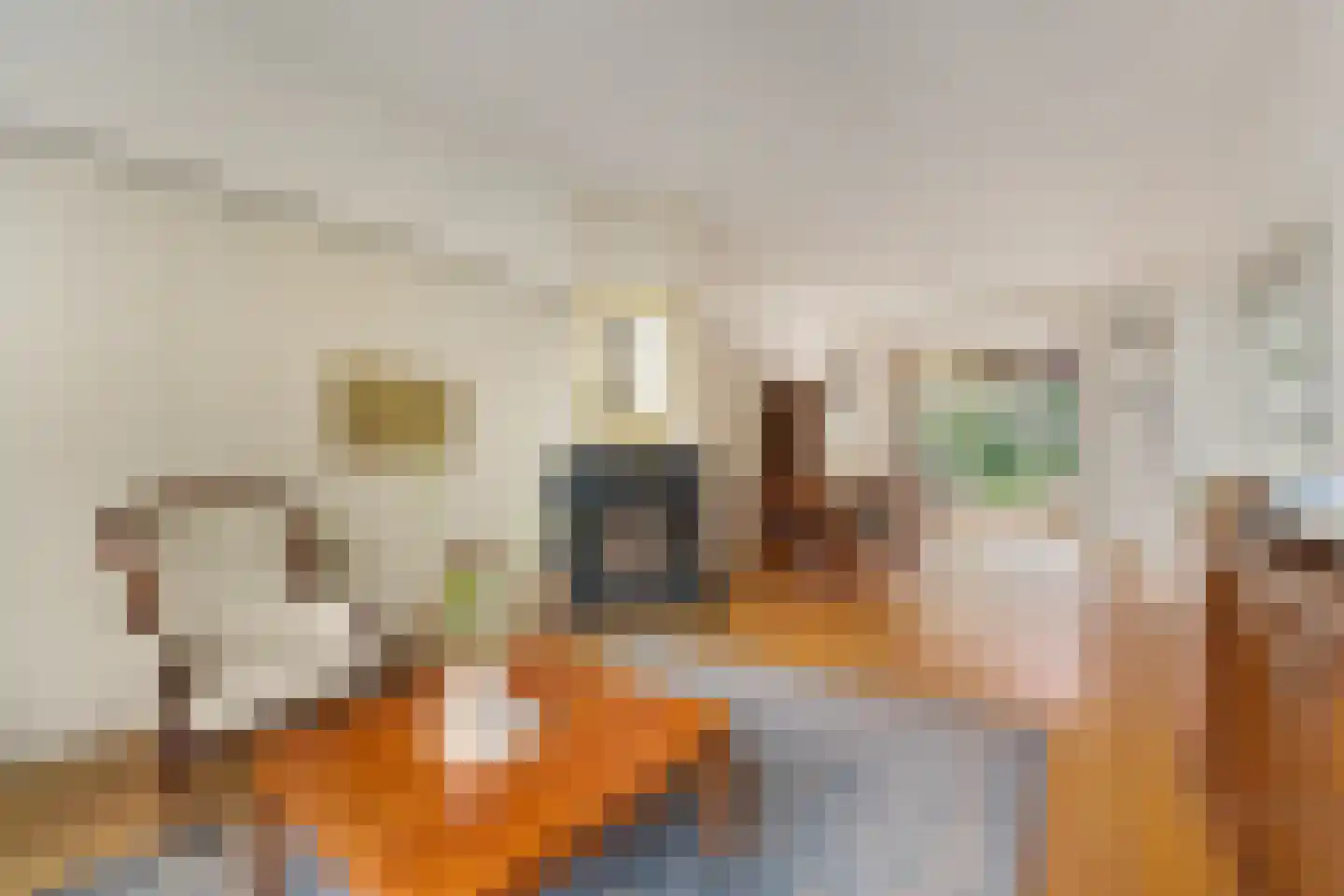 Nassauplein 28 Alkmaar thumbnail 4