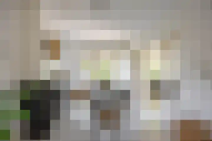 Nassauplein 29 b Groningen thumbnail 11