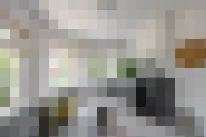 Nassauplein 29 b Groningen thumbnail 16