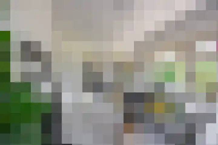 Nassauplein 29 b Groningen thumbnail 18
