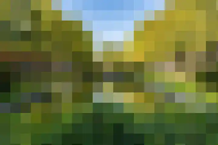 Nassauplein 29 b Groningen thumbnail 37