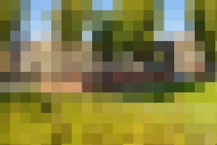 Nassauplein 29 b Groningen thumbnail 38