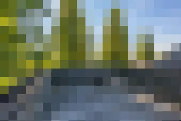 Nassauplein 29 b Groningen thumbnail 4