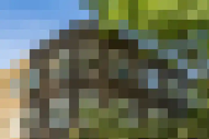 Nassauplein 29 b Groningen thumbnail 6