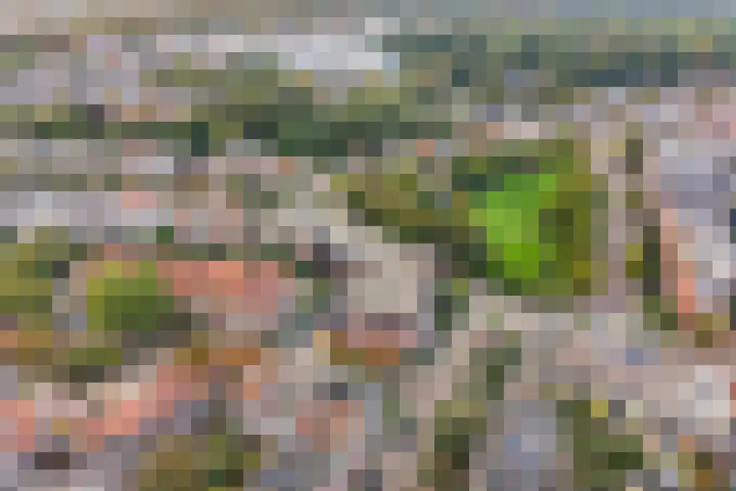 Nassauplein 33 Alkmaar thumbnail 33