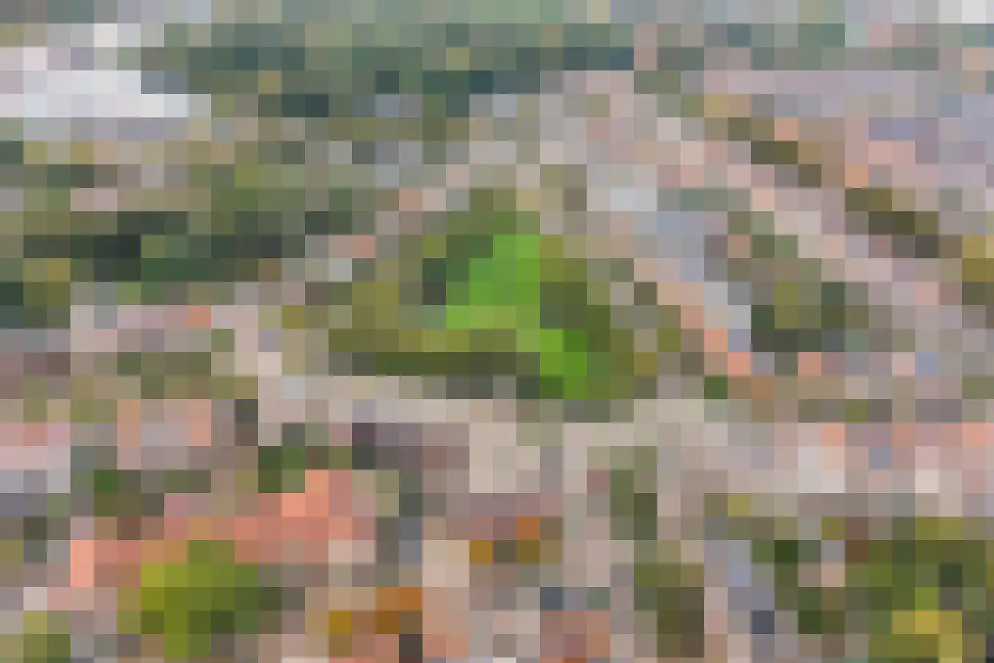 Nassauplein 33 Alkmaar thumbnail 34