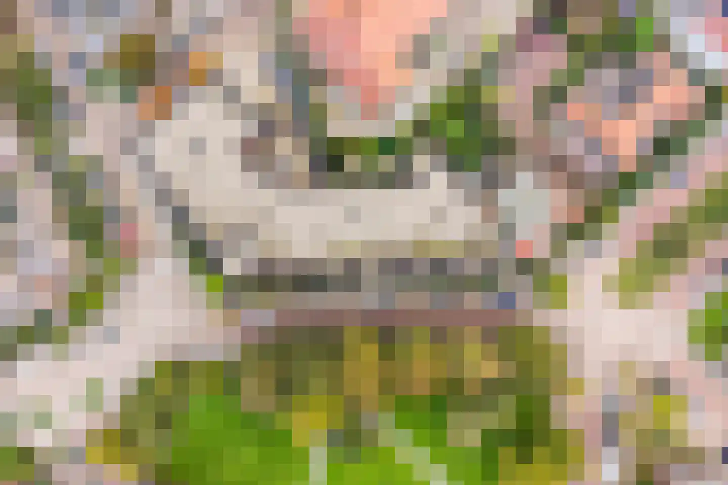 Nassauplein 33 Alkmaar thumbnail 35