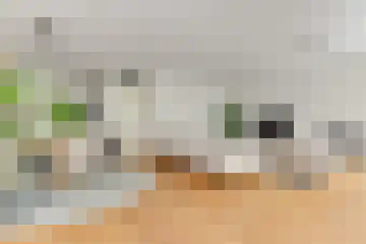 Nassauplein 35 Alkmaar thumbnail 15