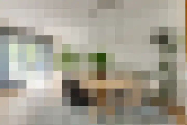 Nassauplein 35 Alkmaar thumbnail 17