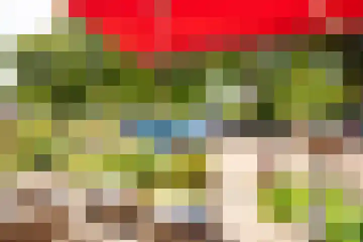Nassauplein 35 Alkmaar thumbnail 21