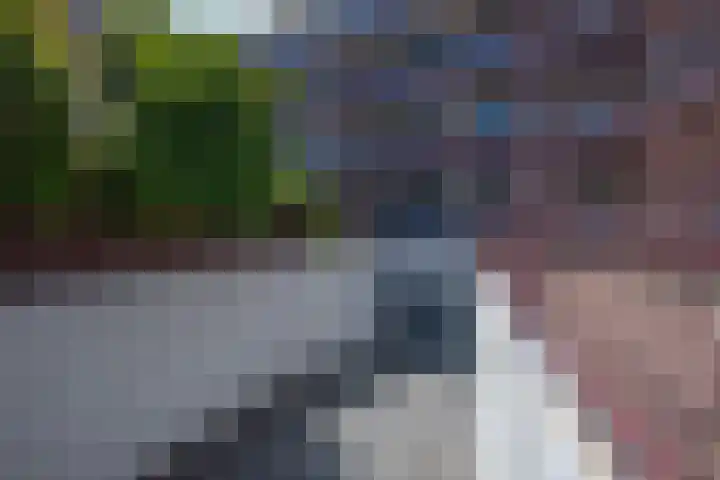 Nassauplein 35 Alkmaar thumbnail 40